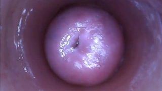 Kira – Kinky selfie (endoscope pussy cam video)
