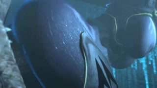 NUALIA – Darkness attracts darkness