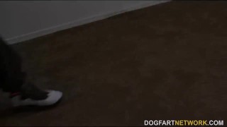 MILF babe Kiki Daire Gets Interviewed at DogFart